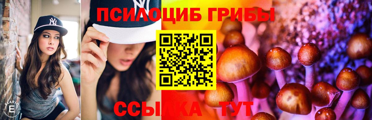 Галлюциногенные грибы Magic Shrooms Рубцовск